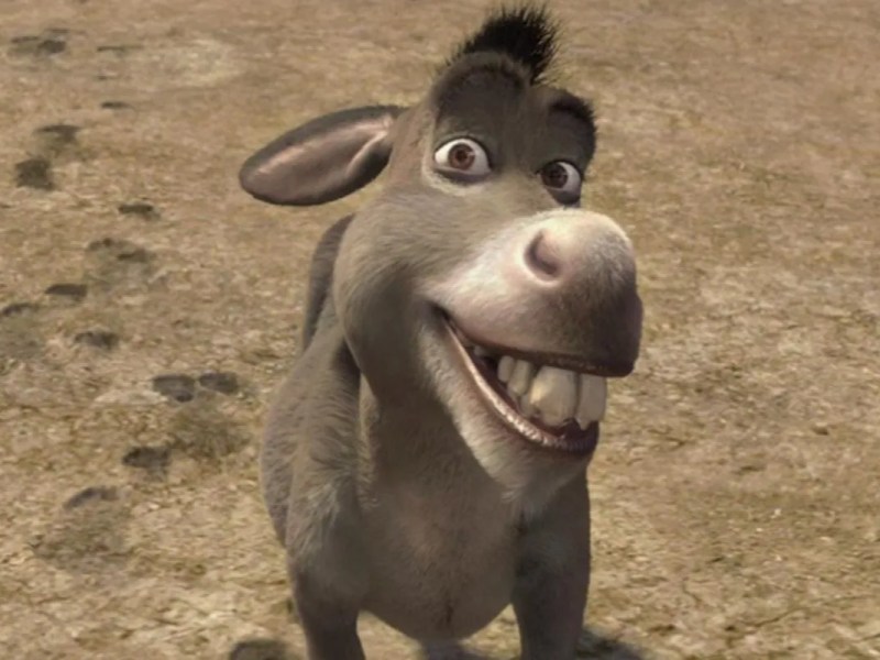 CARNE DE BURRO EN ARGENTINA: ¿EL NUEVO SUSTITUTO DEL ASADO ANTE LA CRISIS?