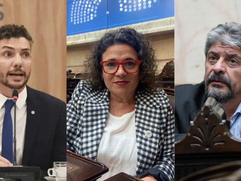 EN 2 AÑOS LOS DIPUTADOS UTILIZARON 22 MIL PASAJES AÉREOS: SÍ, LOS DE LLA USARON TODOS